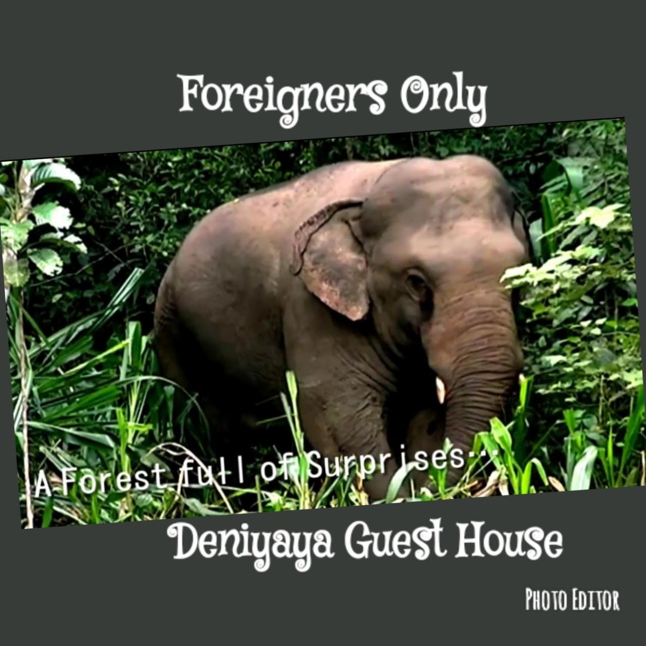 Deniyaya Guest House ภายนอก รูปภาพ